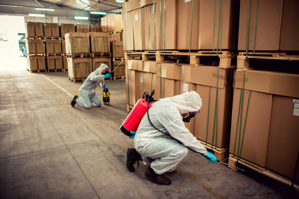 Best Rat Extermination Near Me  in Ormond Beach, FL