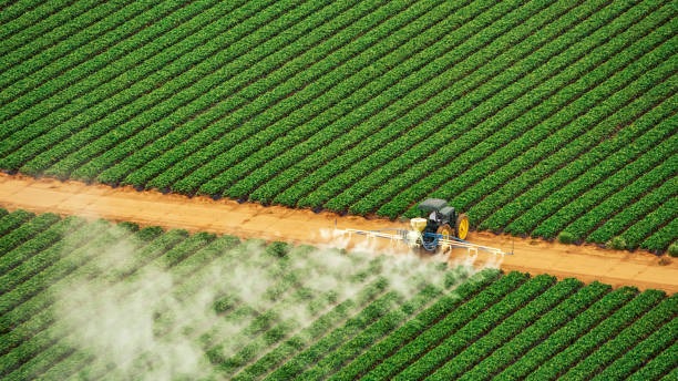 Insect Control in Ormond Beach, FL