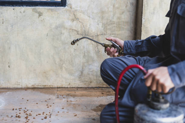 Best Pest Removal Services  in Ormond Beach, FL