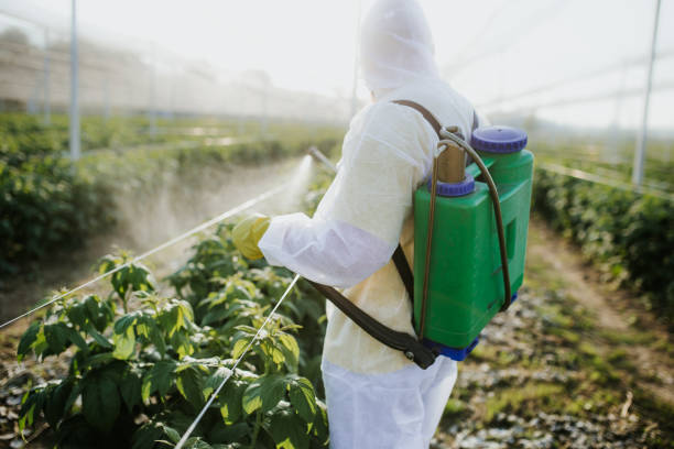 Best Mosquito Control Services  in Ormond Beach, FL